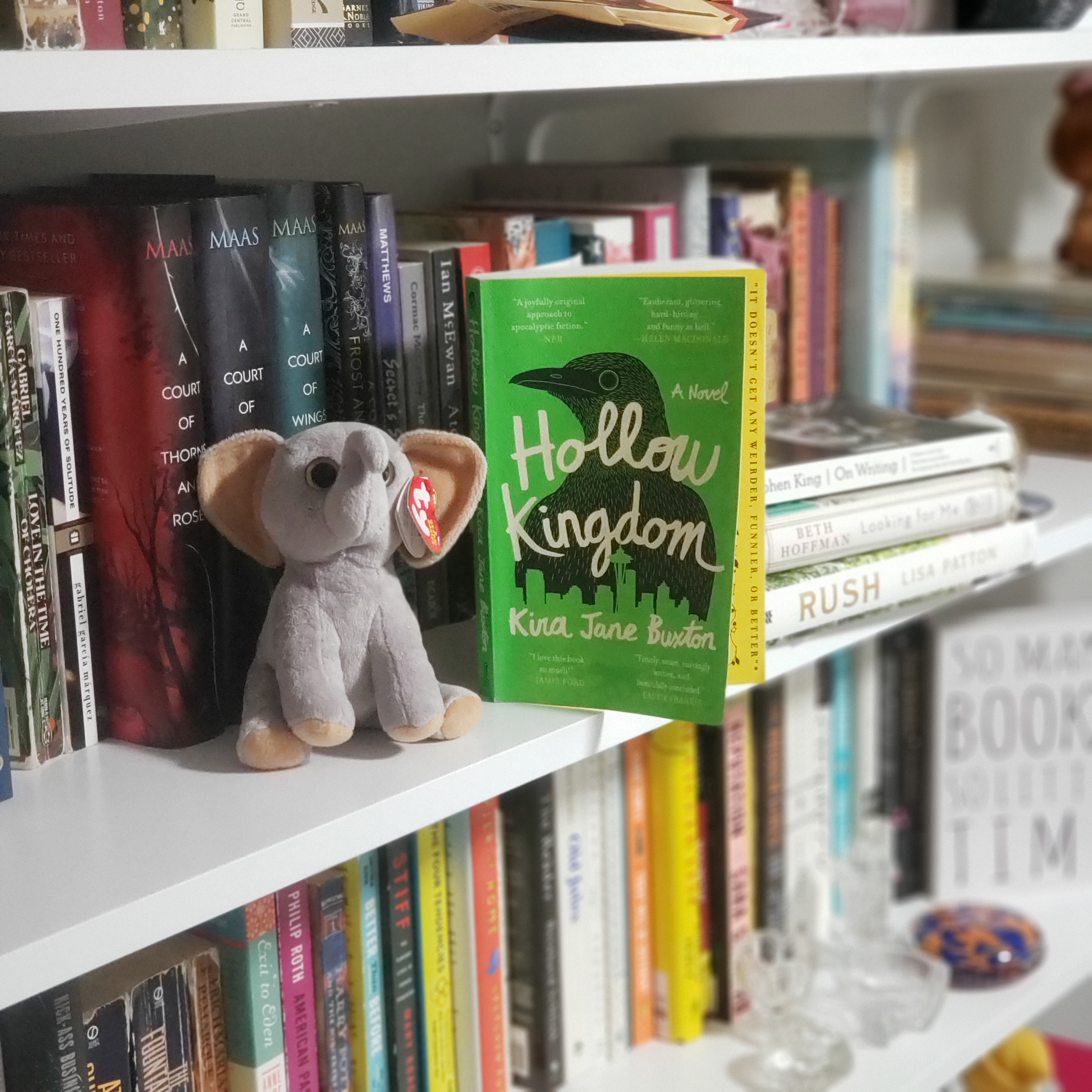 Crows & The Zombie&nbsp;Apocalypse