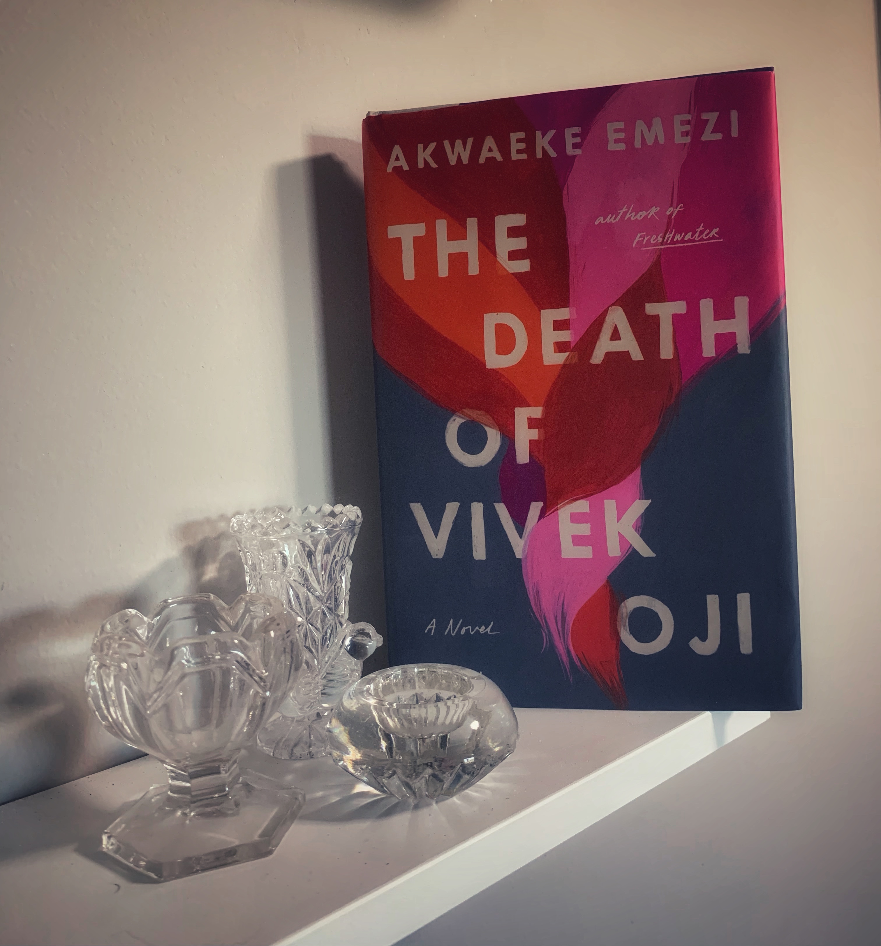 The Death of Vivek&nbsp;Oji