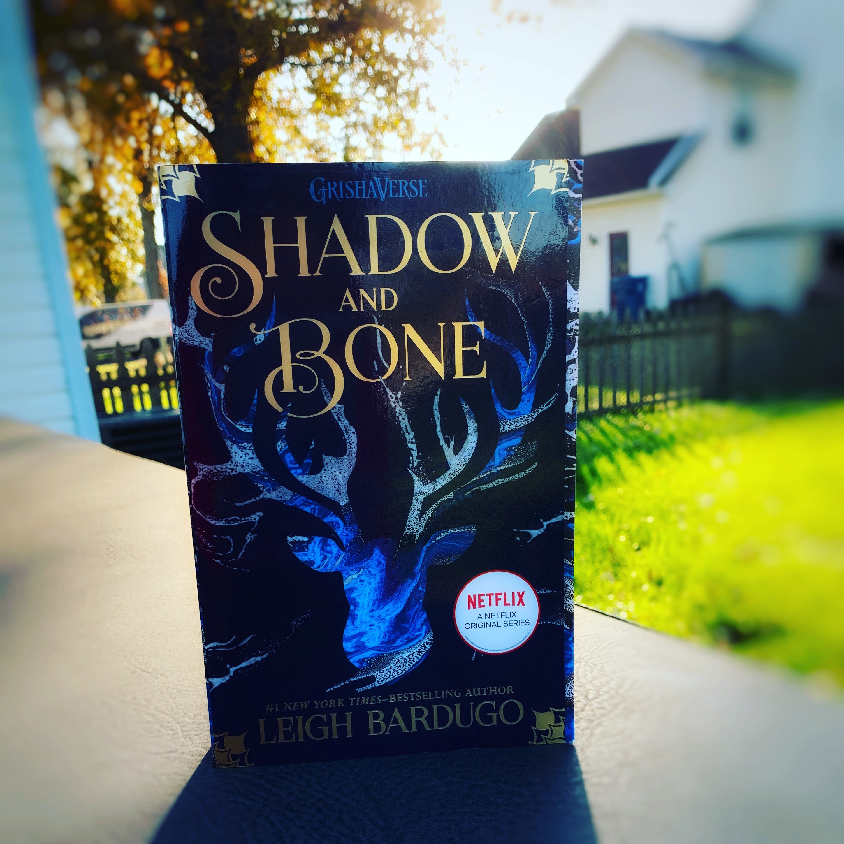 A Darker Shadow and Bone
