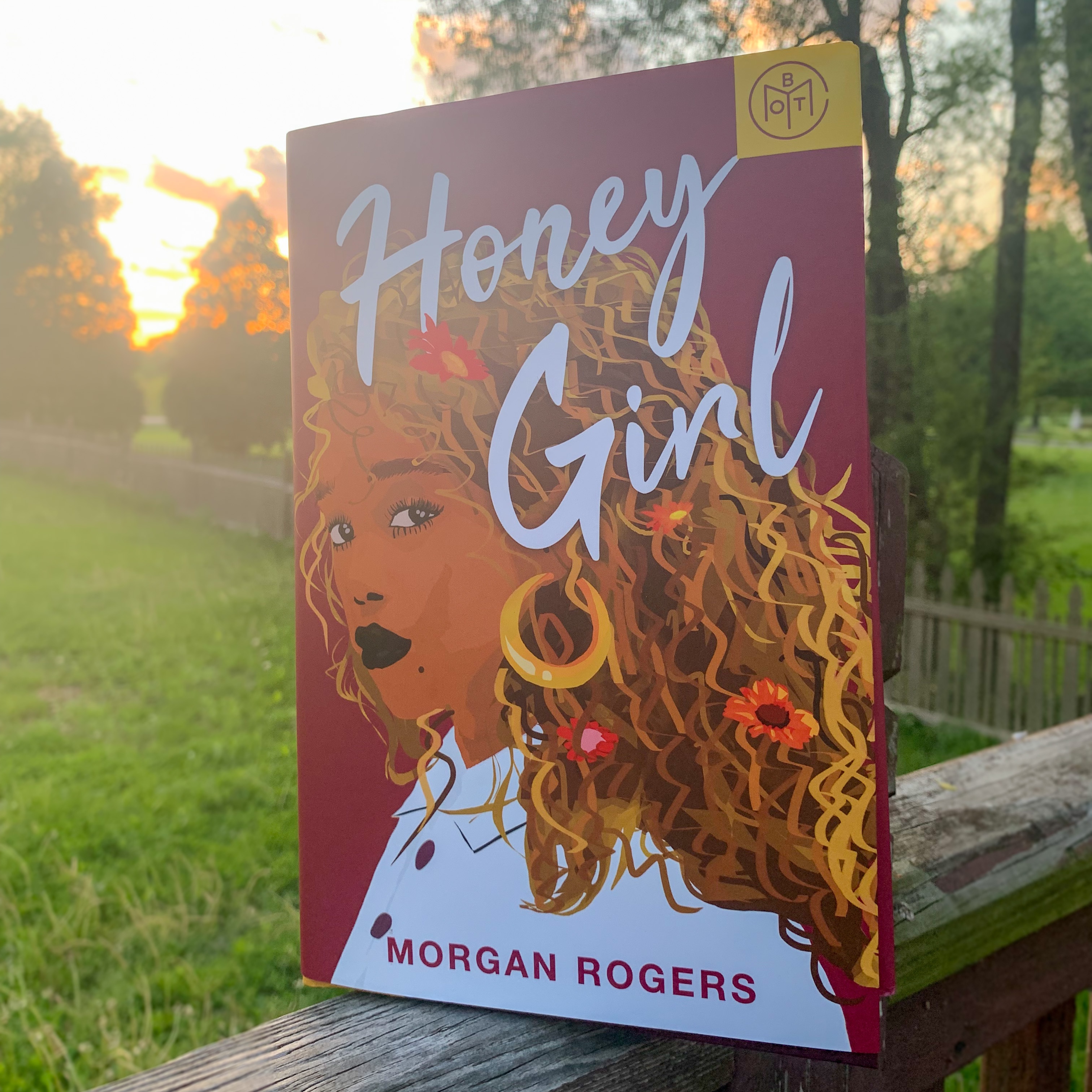 The Surprises of Honey Girl